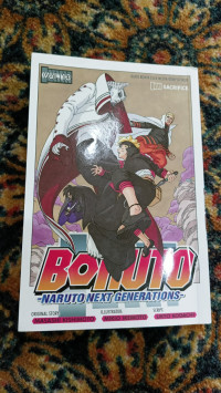 BORUTO VOL 13