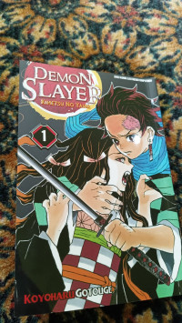 DEMON SLAYER 1