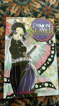 DEMON SLAYER 6