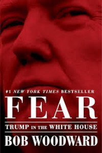 FEAR TRUMP IN THE WHITE HOUSE