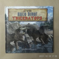 Halo Dino! Triceratops