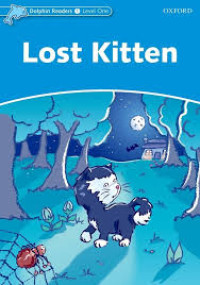 Lost Kitten