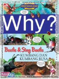 WHY? KUMBANG DAN KUMBANG RUSA