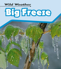 Wild Weather: Big Freeze